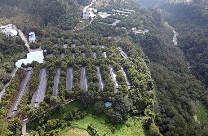 國(guó)家生豬核心育種場(chǎng)