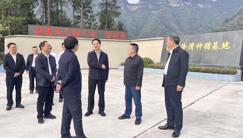 市領(lǐng)導(dǎo)鄭向東到69畜牧公司調(diào)研指導(dǎo)