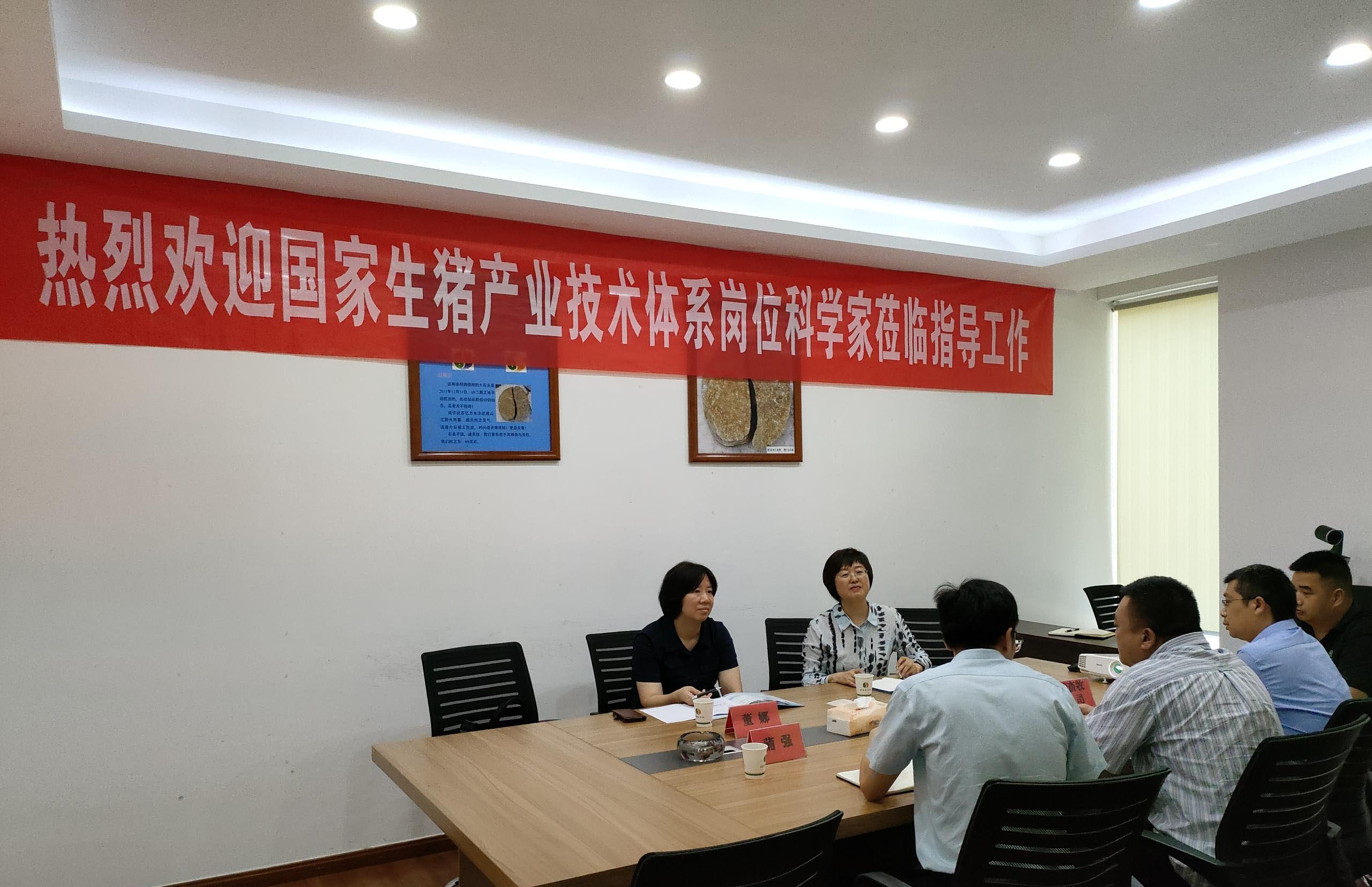 專家指導(dǎo)促發(fā)展&nbsp;&nbsp;砥礪前行正當時<br/>---國家生豬產(chǎn)業(yè)技術(shù)體系崗位科學家來我司指導(dǎo)交流