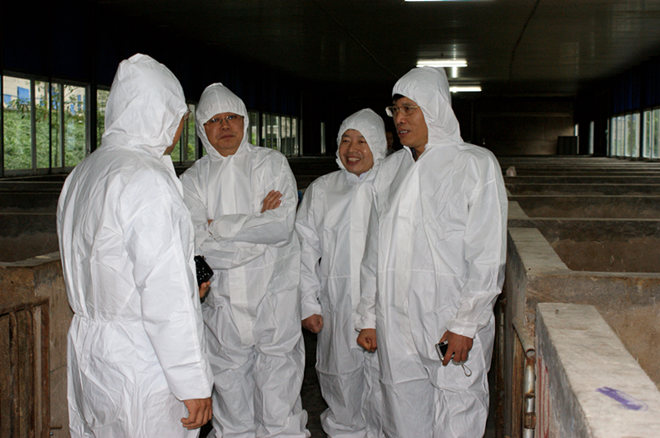 國家生豬遺傳改良計(jì)劃專家組《李加棋、王金勇》到重慶69指導(dǎo)工作